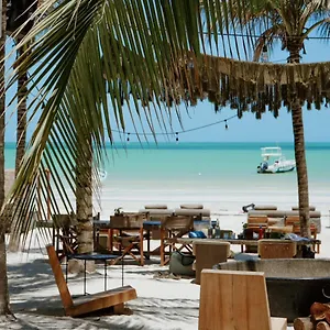 Casa Tortugas Petit & 4*, Isla Holbox Mexico